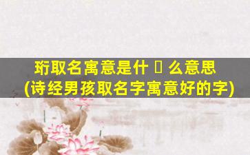 珩取名寓意是什 ☘ 么意思(诗经男孩取名字寓意好的字)